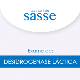 Desidrogenase láctica