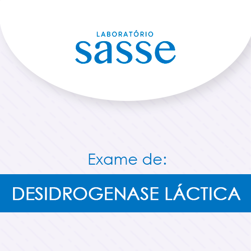Desidrogenase láctica